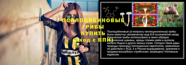 2c-b Алзамай