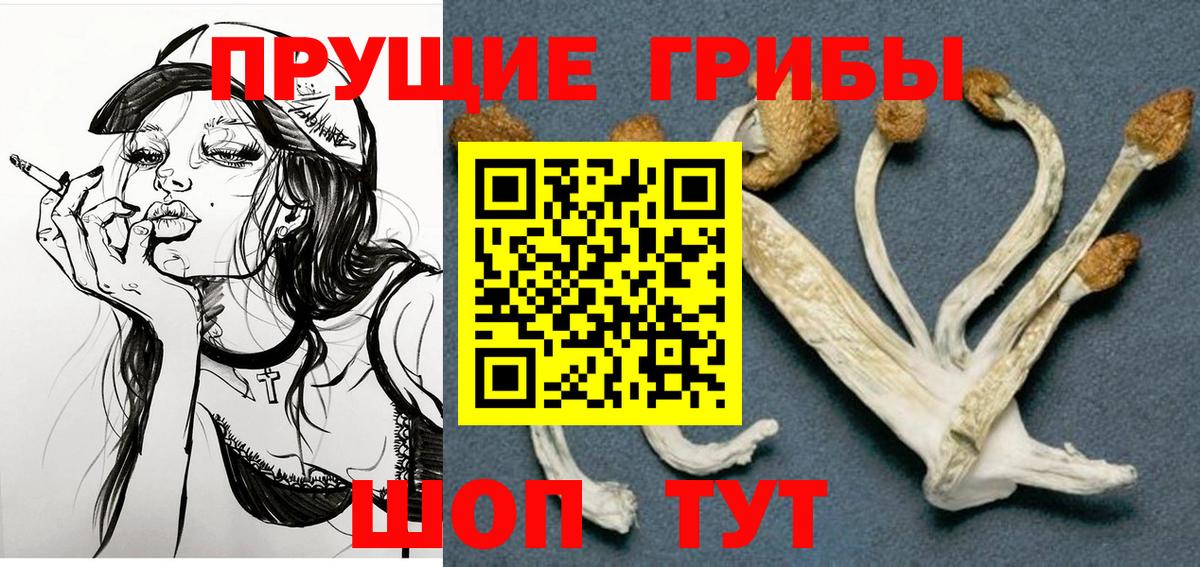 Галлюциногенные грибы Psilocybe  Галлюциногенные грибы Magic Shrooms  Ачинск  Вход с VPN 